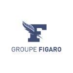 Figaro_1 - BlueGrey